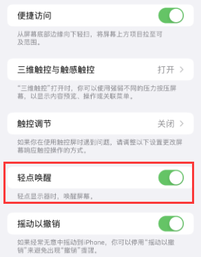 浔阳苹果授权维修站分享iPhone轻点无法唤醒怎么办 