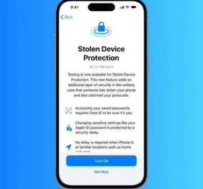 浔阳苹果授权维修店分享被盗设备保护功能开启方法 