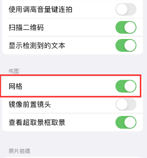 浔阳苹果手机维修网点分享iPhone如何开启九宫格构图功能