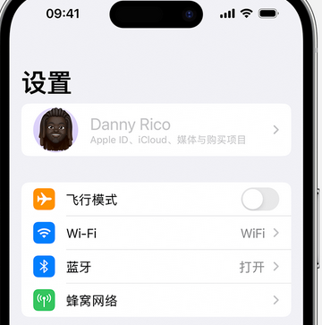 浔阳appleID维修服务iPhone设置中Apple ID显示为灰色无法使用 