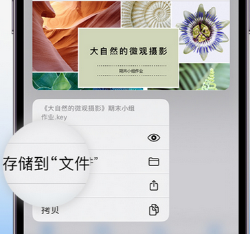 浔阳apple维修中心分享iPhone文件应用中存储和找到下载文件