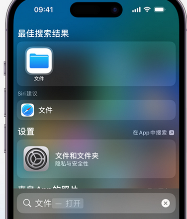 浔阳apple维修中心分享iPhone文件应用中存储和找到下载文件 