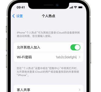 浔阳apple服务站点分享iPhone上个人热点丢失了怎么办 