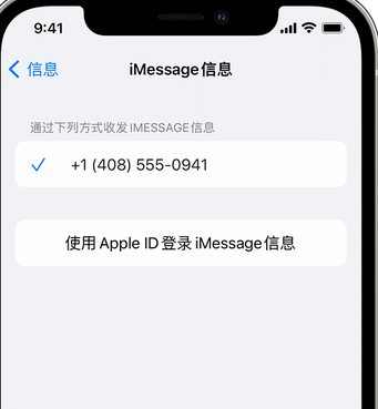 浔阳apple维修iPhone上无法正常发送iMessage信息