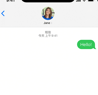 浔阳apple维修iPhone上无法正常发送iMessage信息