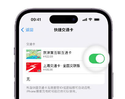 浔阳apple维修点分享iPhone上更换Apple Pay快捷交通卡手绘卡面 