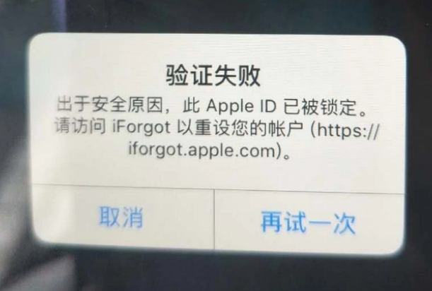 浔阳iPhone维修分享iPhone上正常登录或使用AppleID怎么办 