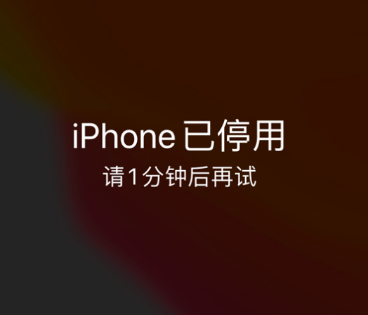 浔阳苹果手机维修分享:iPhone 显示“不可用”或“已停用”怎么办？还能保留数据吗？ 