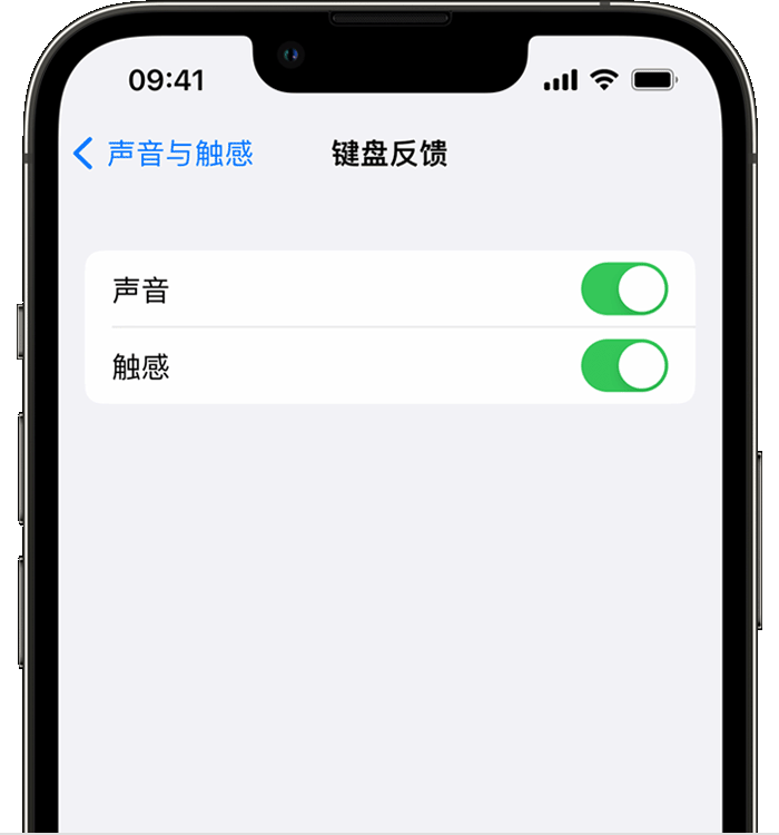 浔阳苹果14维修店分享如何在 iPhone 14 机型中使用触感键盘 