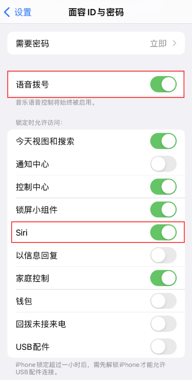 浔阳苹果维修网点分享不解锁 iPhone 的情况下通过 Siri 拨打电话的方法 