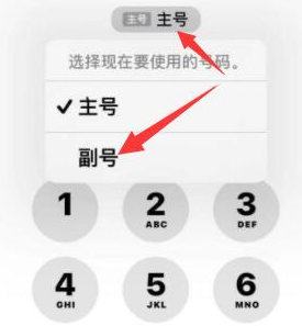 浔阳苹果14维修店分享iPhone 14 Pro Max使用副卡打电话的方法 