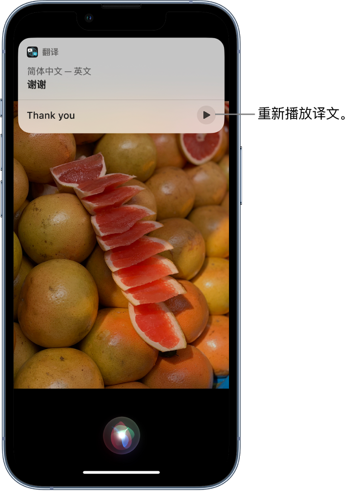 浔阳苹果14维修分享 iPhone 14 机型中使用 Siri：了解 Siri 能帮你做什么 