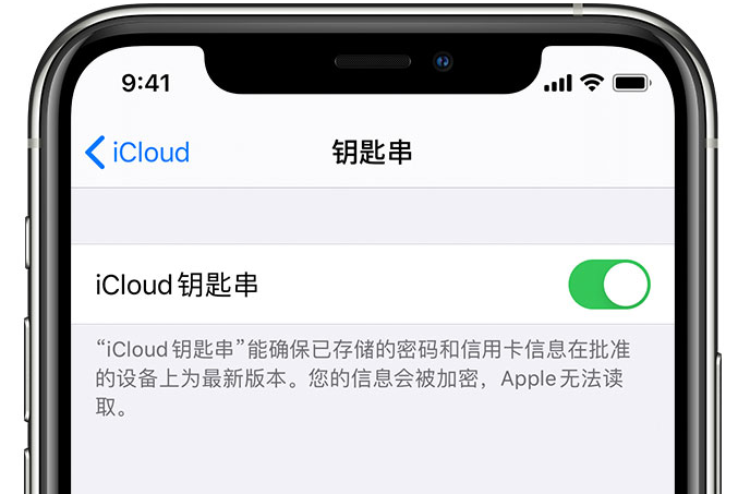 浔阳苹果手机维修分享在 iPhone 上开启 iCloud 钥匙串之后会储存哪些信息 