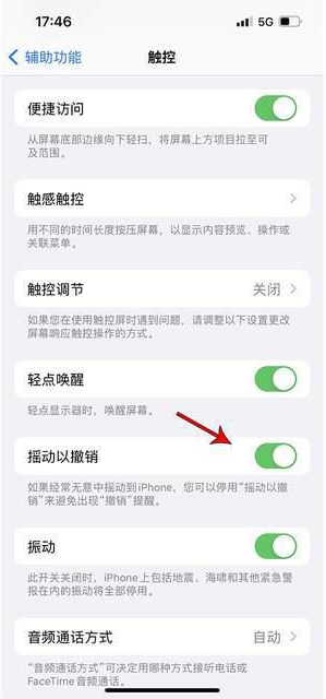 浔阳苹果手机维修分享iPhone手机如何设置摇一摇删除文字 